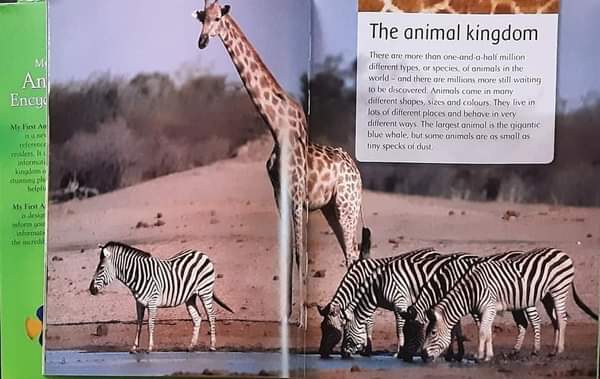 KNOWLEDGE BOOK ** 🍅🍓 MY FIRST ANIMAL ENCYCLOPEDIA