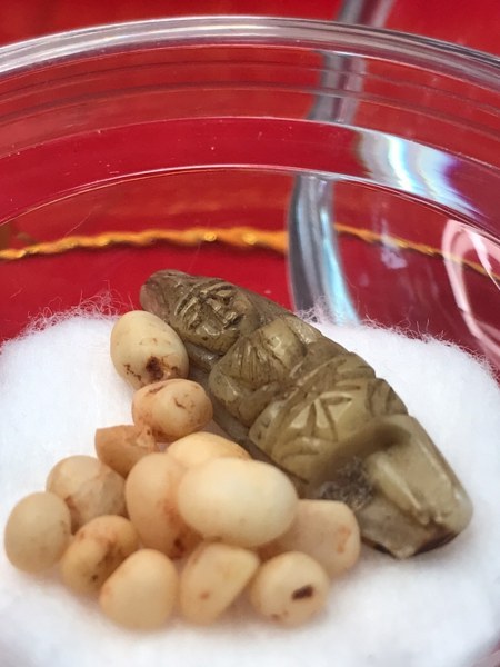 พระทันตธาตุหลวงปู่ครูบาชัยยะวงศา แกะเป็นรูปพระพุทธรูป พร้อมกับพระธาตุข้าวบิณฑ์