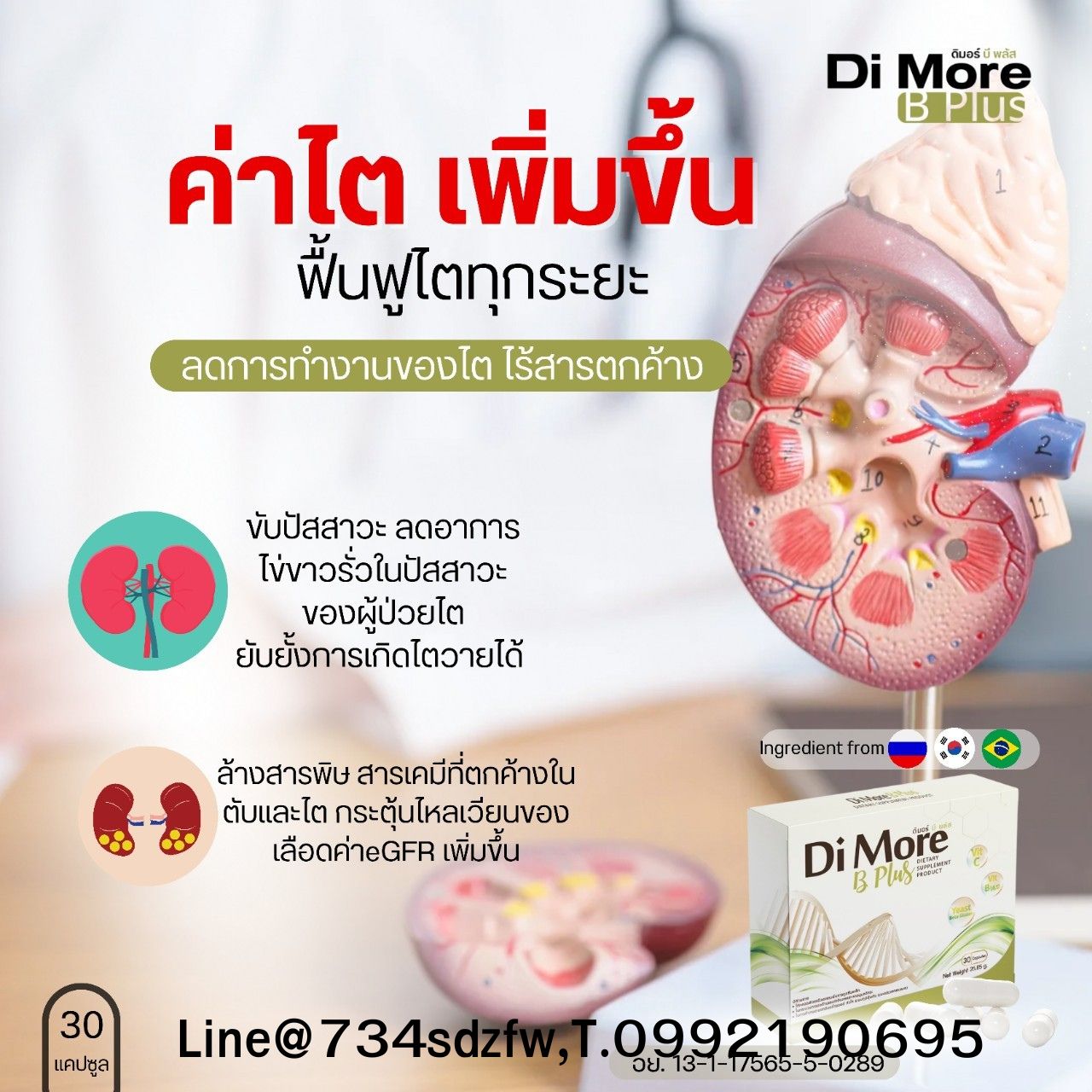 โรคไต ไตเสื่อม ไตวายเรื้อรัง