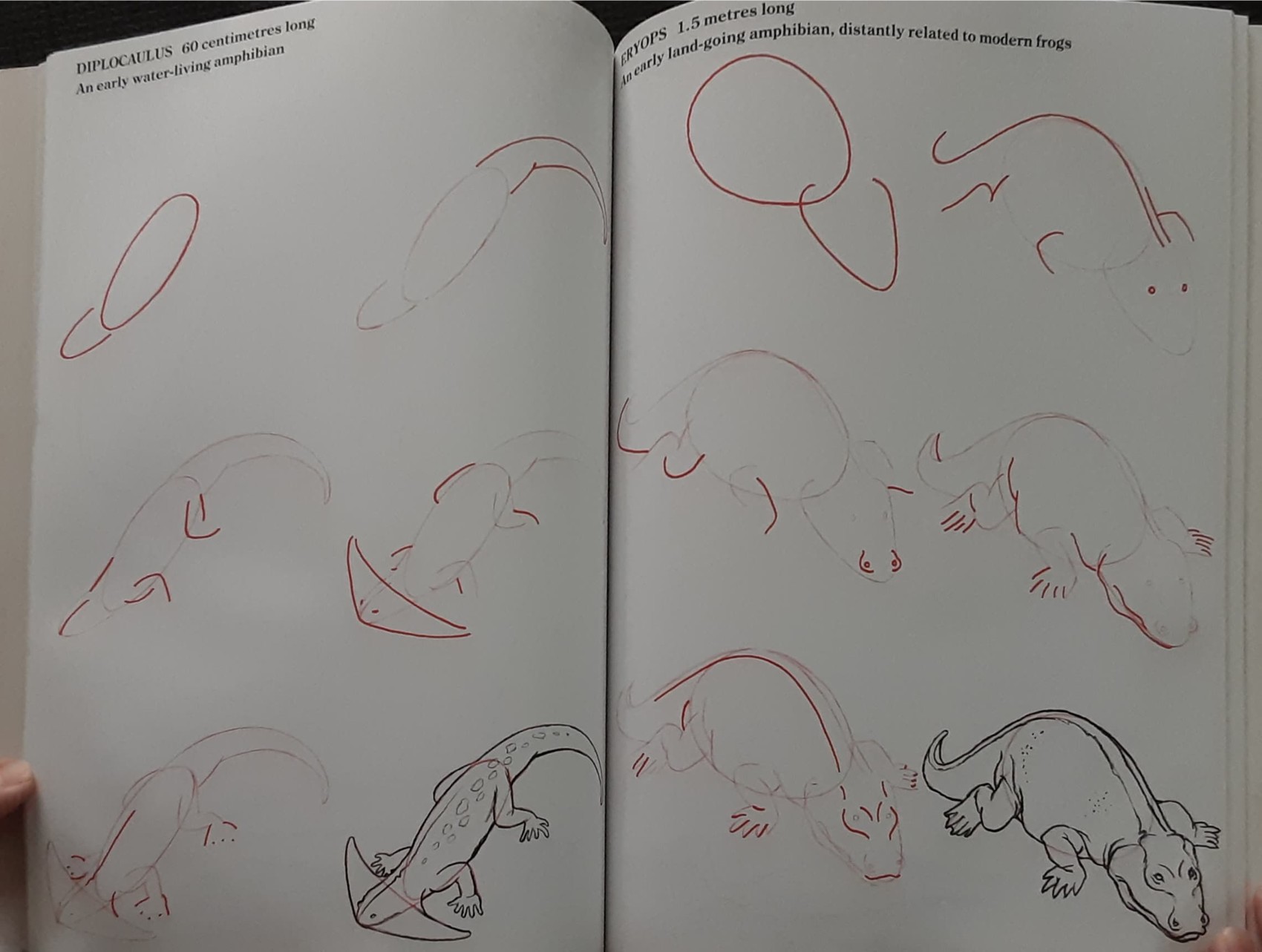 Knowledge Book** ð
ðDRAW 50 DINOSAURS AND OTHER PREHISTORIC ANIMALS