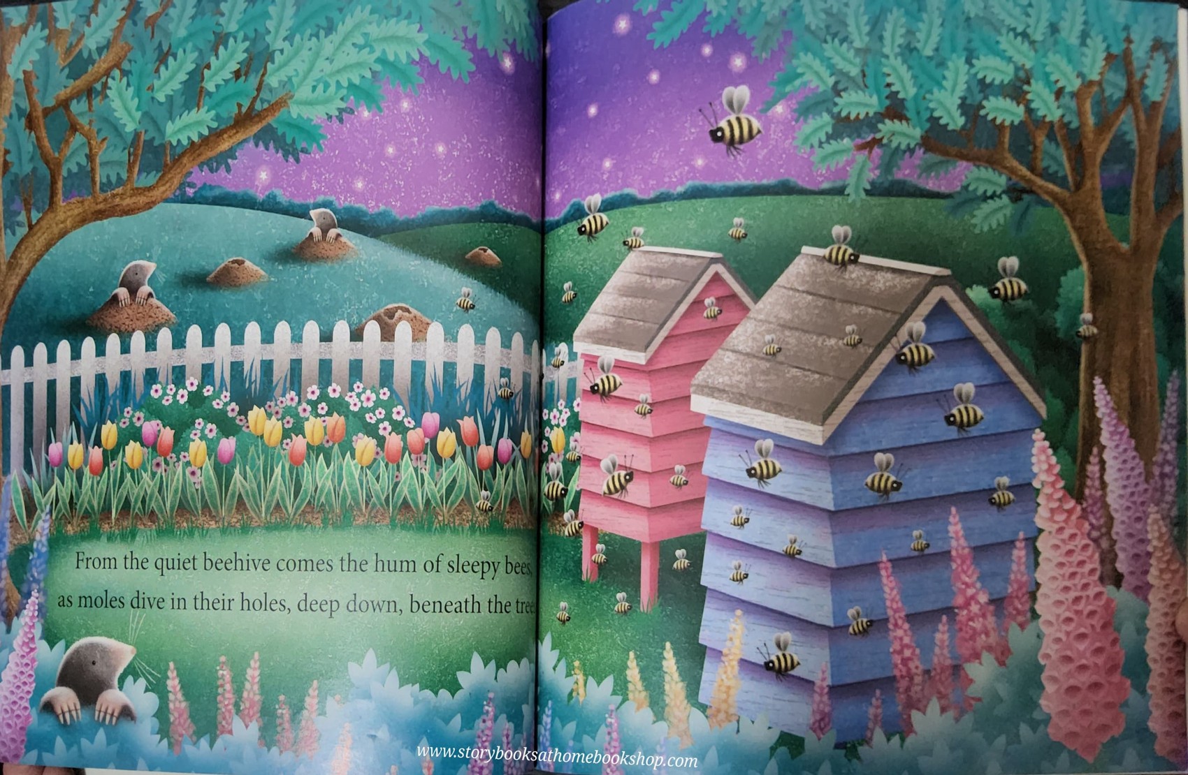 หนังสือนิทานปกอ่อน** 🍓🍓THROUGH THE STARLIGHT WINDOW