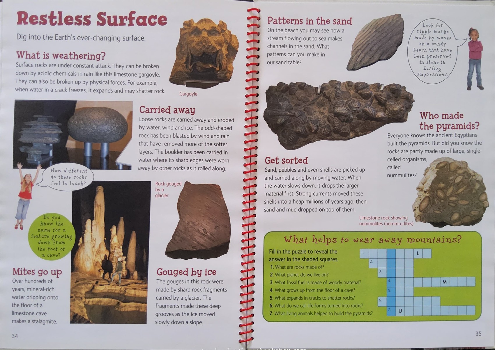 KNOWLEDGE BOOK** 🍓🍓 NATURAL HISTORY MUSEUM KIDS ONLY