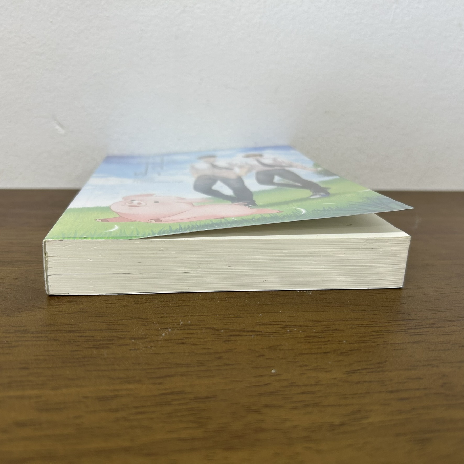 [YAOI] วันศุกร์สีฟ้า ... aonair (มือสอง) นิยายวาย Hermit