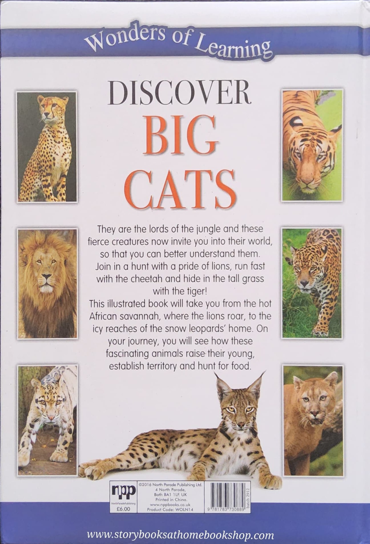 Knowledge Book** ð
ðWonder of Learning Discover BIG CATS