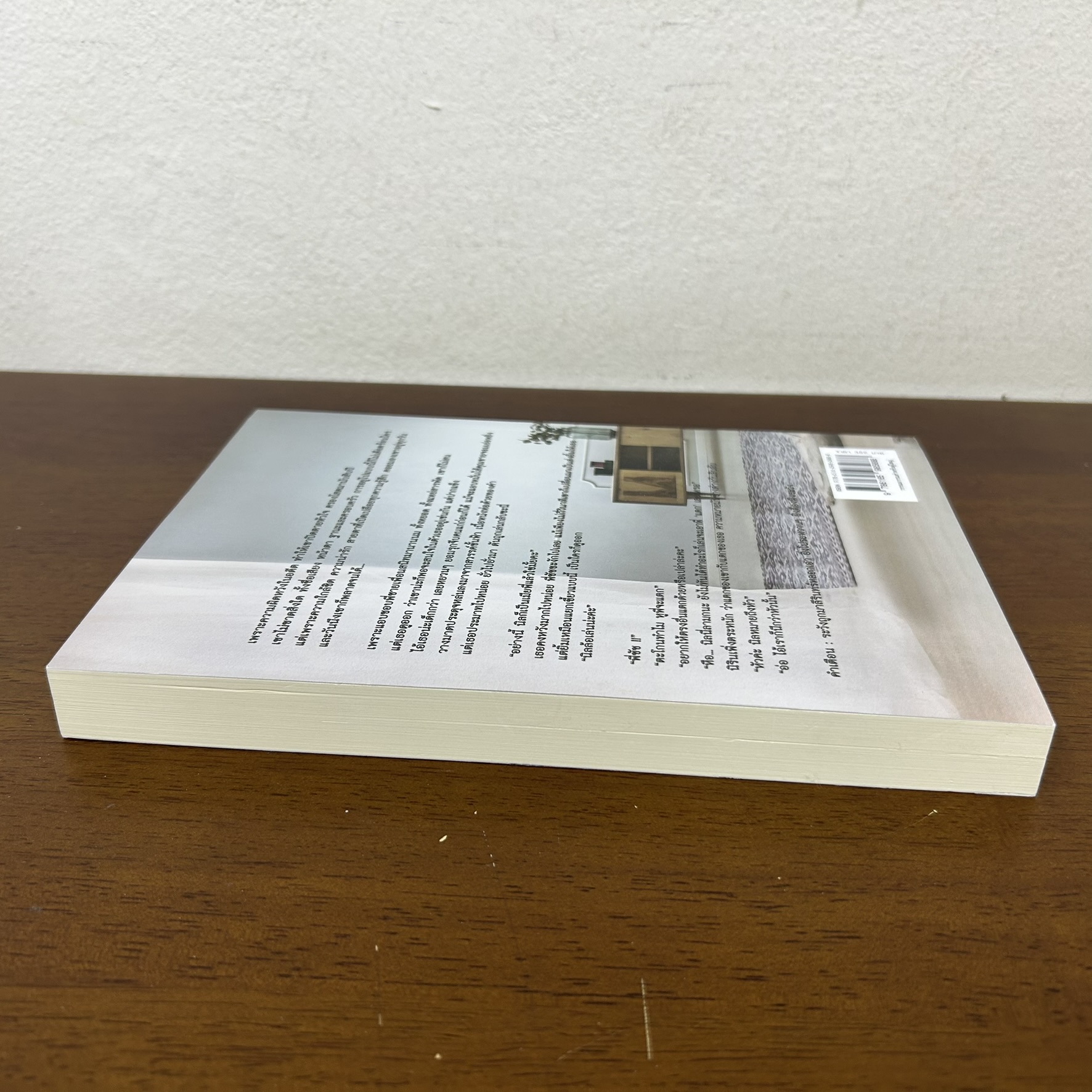 เมียลับของชัชวิน ... มาลีรินทร์ (มือสอง) นิยาย โรแมนติก ทำมือ