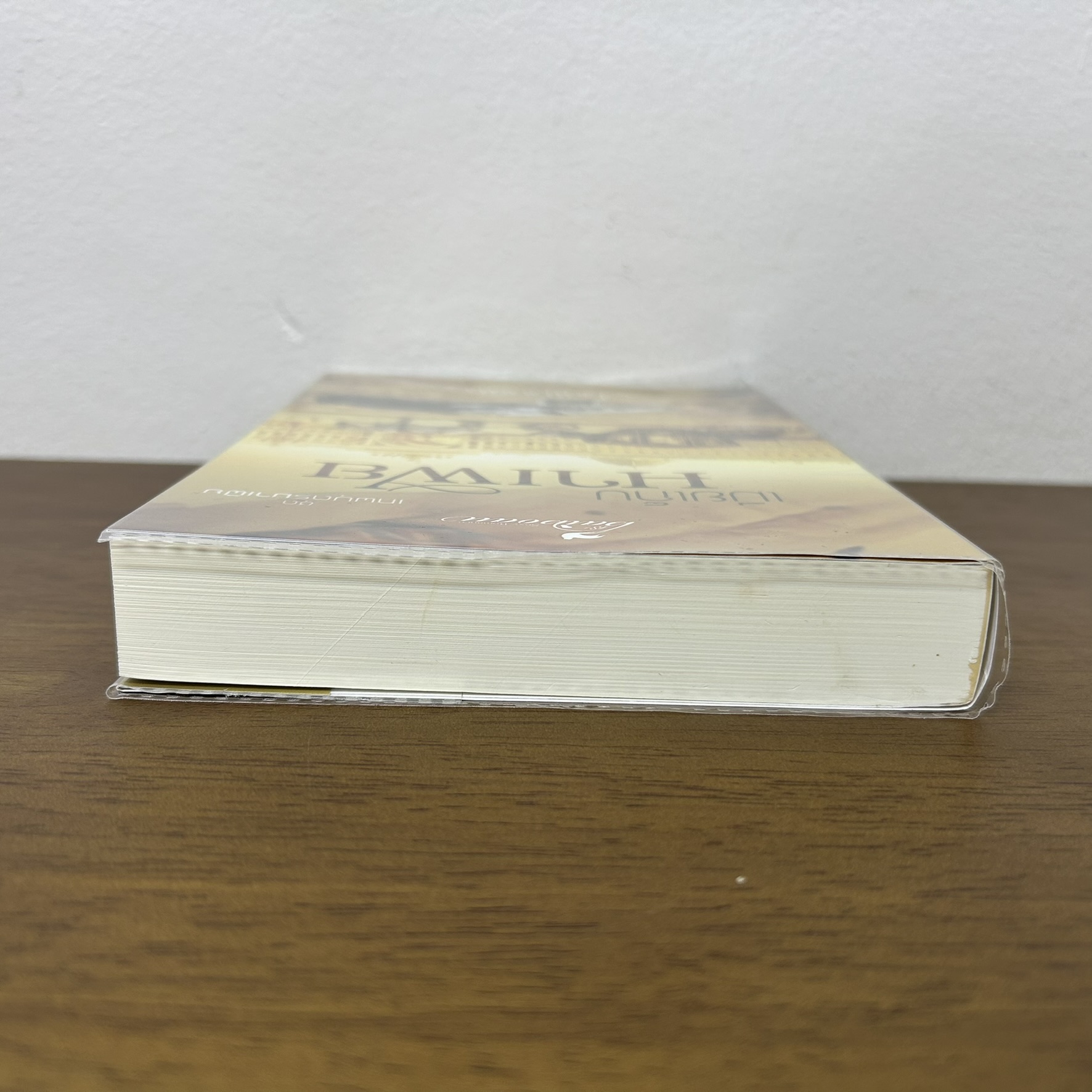 เมียเก็บมาเฟีย ... baiboau (มือสอง) นิยาย โรมานซ์