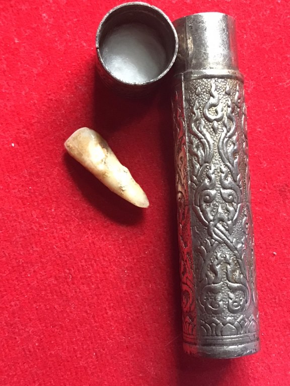 พระทันตธาตุ หลวงพ่อทวีป วัดจันทาราม จ.กำแพงเพชร ได้มาจากคุณวินัย อดีตนายอำเภอ หลายพื้นที่ คุณวินัย ได้รับพระทันตธาตุมาจากเพื่อนของท่านชื่อคุณ ประวิทย์ เคยรับราชการ จ.เแพร่ คุณประวิทย์เป็นศิษย์หลวงพ่อทวีป และมอบแบ่งปันพระทันตธาตุให้คุณวินัยบูชา