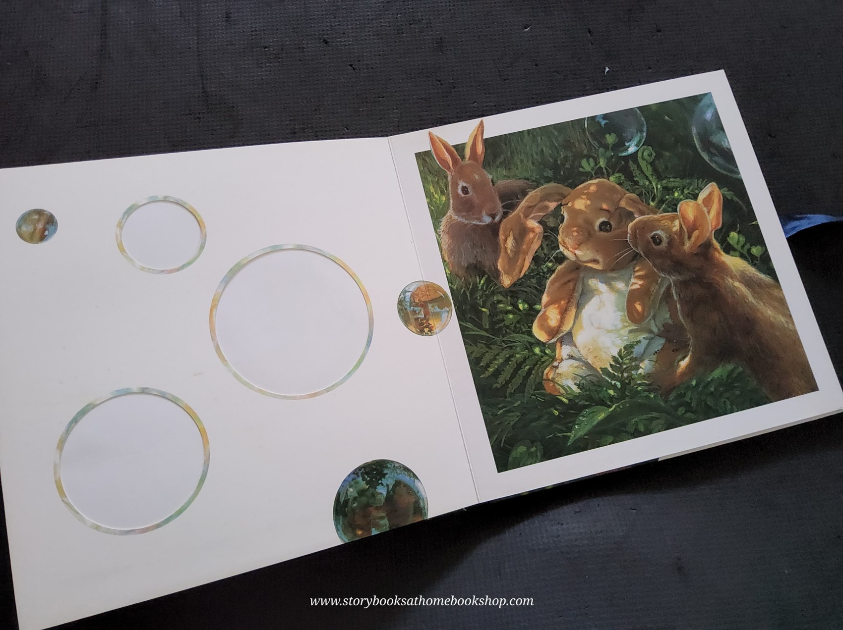 PHOTOGRAPH ALBUM** ð
ðTHE VELEVETEEN RABBIT PHOTOGRAPH ALBUM