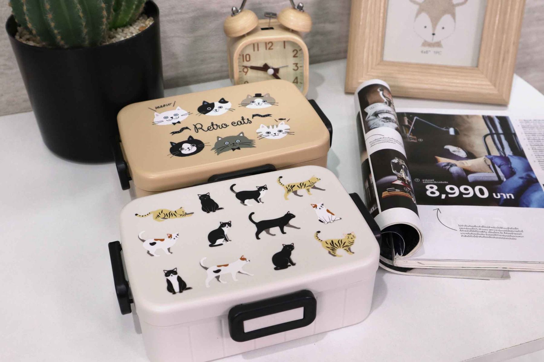 Lunch box กล่องข้าวพลาสติก ลายแมว JP Quality 650ml 18x13x6cm