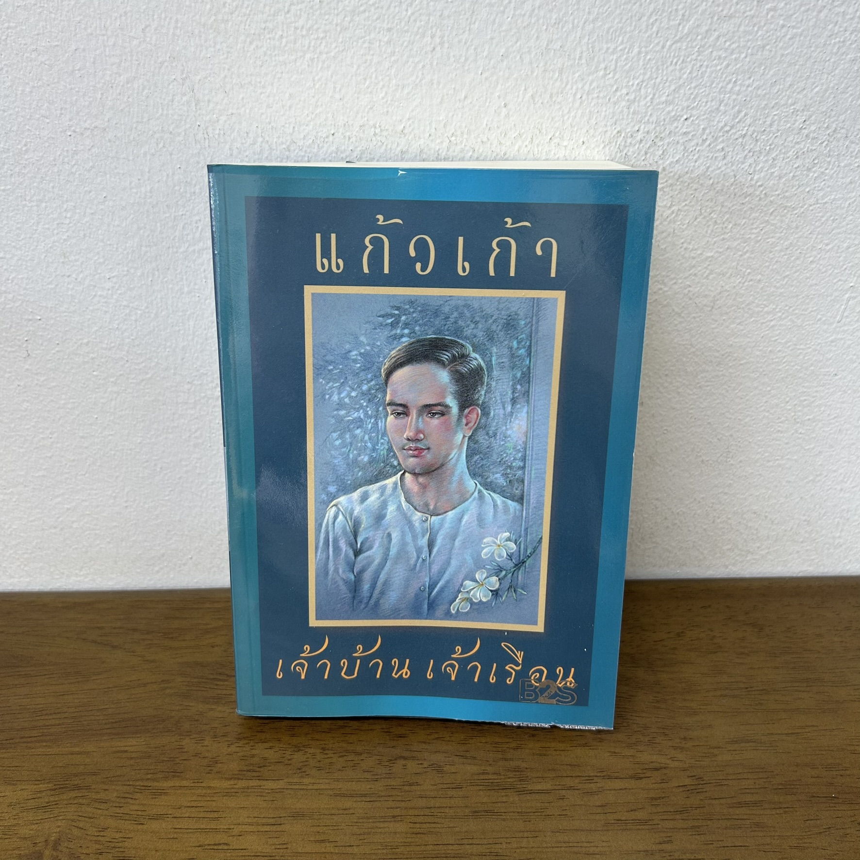 เจ้าบ้าน เจ้าเรือน ... แก้วเก้า (มือสอง) นิยาย วรรณกรรม เพื่อนดี
