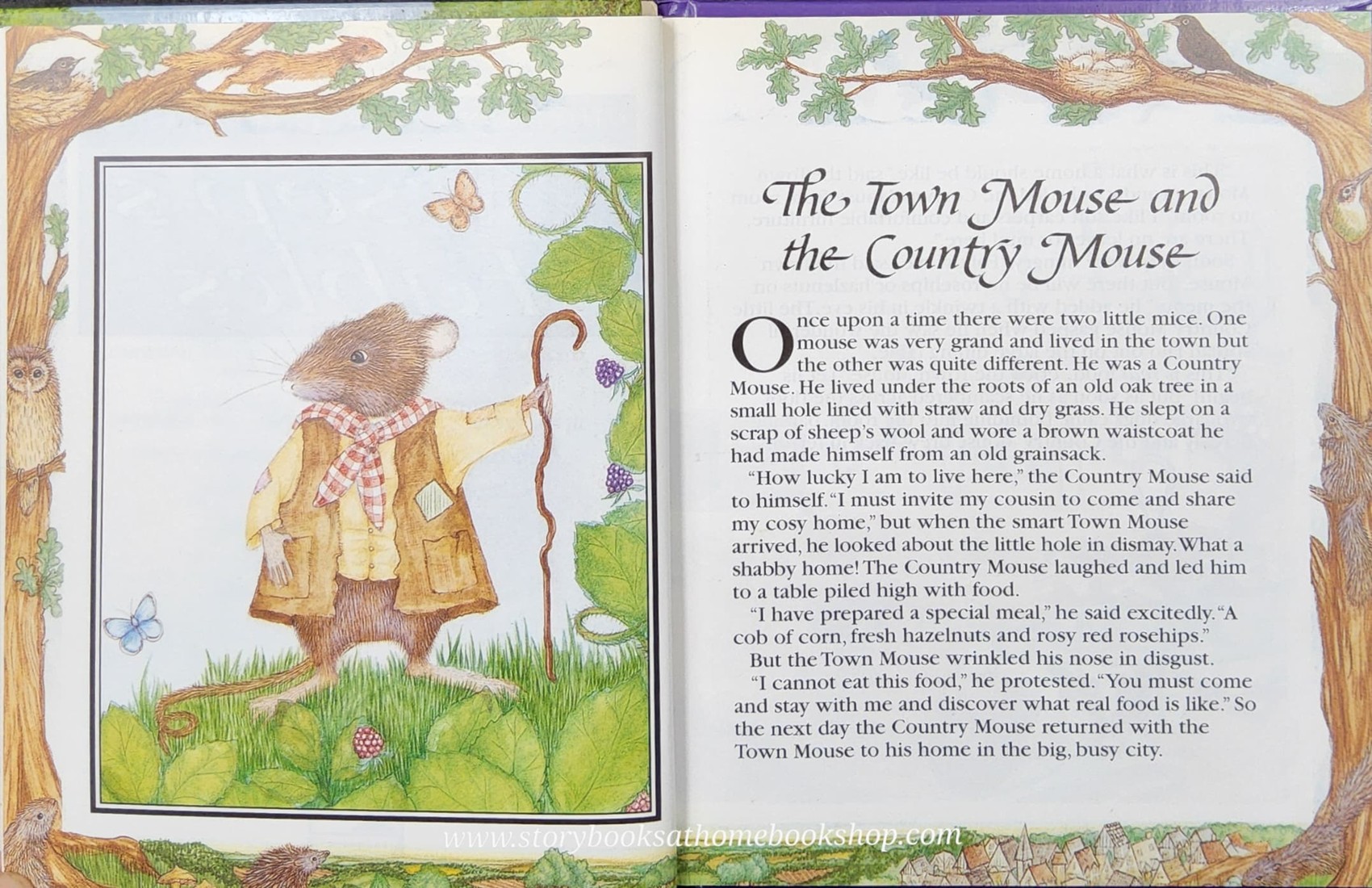 หนังสือนิทานปกแข็ง** 🍅🍓AESOP'S FABLES