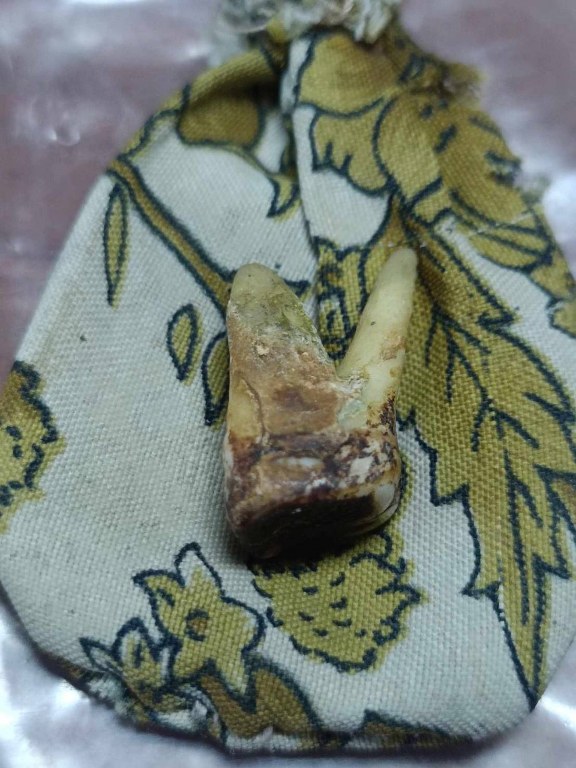 พระทันตธาตุครูบาก้อน วัดแม่พริกบน อ.แม่พริก จ.ลำปาง ได้มาจากหนานกุ้ง ลูกพ่อหนานหล้า พ่อหนานหล้าเคยบวชที่วัดแม่พริก ตั้งแต่ปี 2510- 2532 เมื่อสึกออกมาก็ทำสวน ค้าข้าวสารใน ต.แม่พริก อายุ 78 ปี ส่วนหนานกุ้งผู้เป็นลูกชายอายุ 37 ปี ได้มาเมื่อราว ๆ ปี 2530