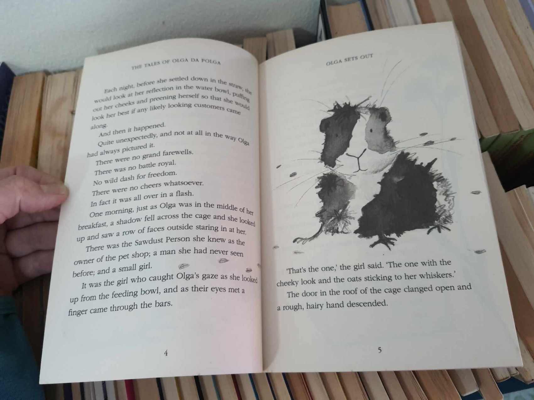 วรรณกรรมเยาวชน** **หนังสือนิทานปกอ่อน** 🍅🍓THE TALES OF OLGA DA POLGA: A LITTLE GUINEA-PIG AND HER BIG ADVENTURES! BY MICHAEL BOND