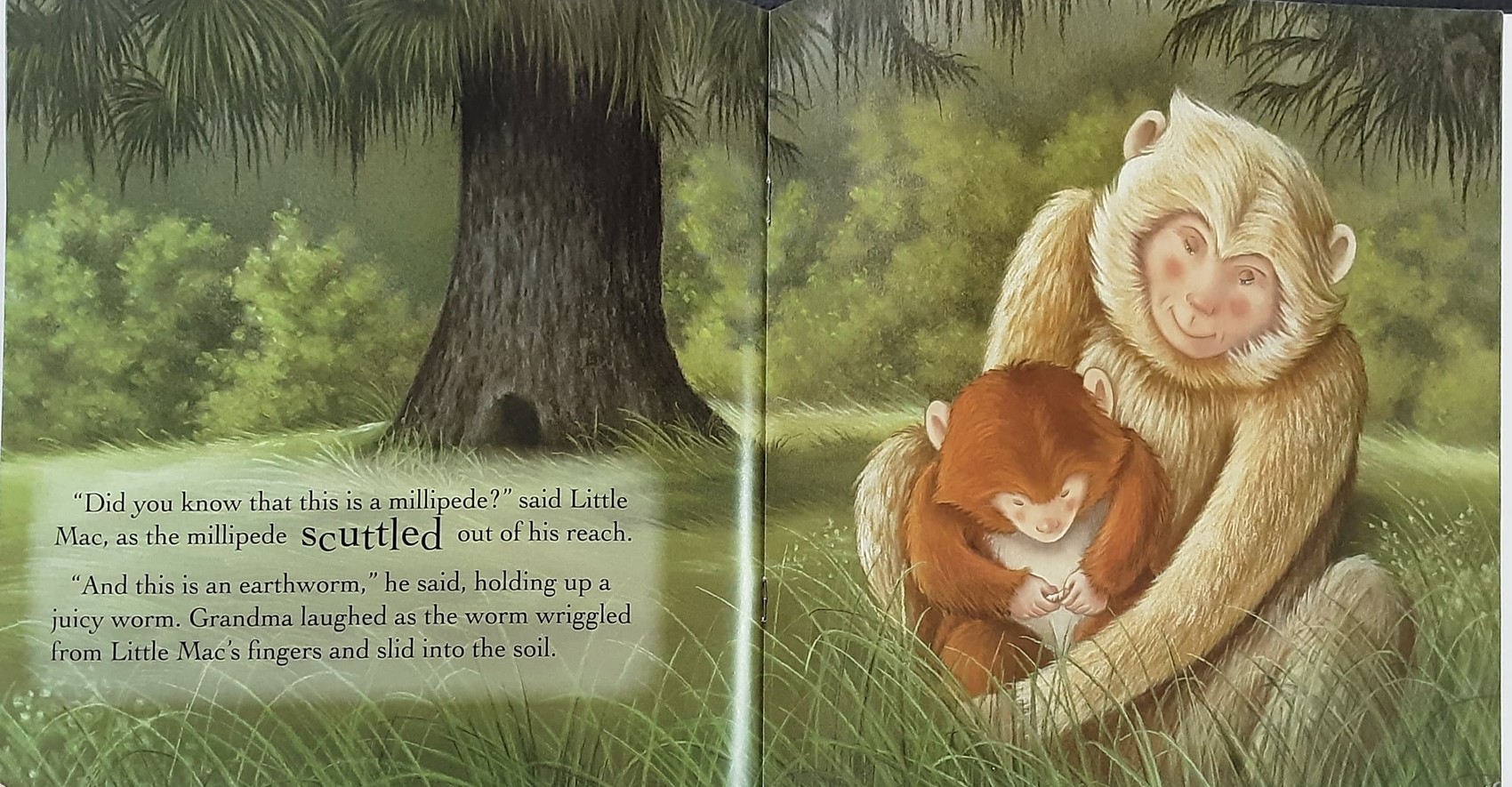 หนังสือนิทานปกอ่อน** 🍅🍓Grandma's Little Monkey