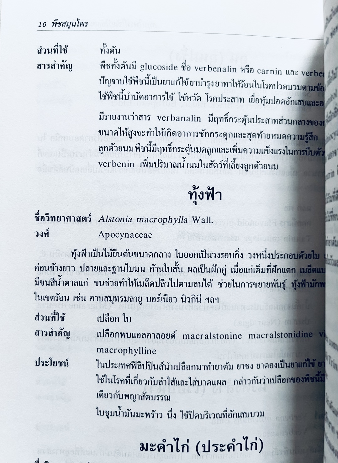 พืชสมุนไพร (ยาสมุนไพรไทย) โดย นิจศิริ เรืองรังษี, พยอม ตันติวัฒน์ คณะเภสัชศาสตร์ จุฬาลงกรณ์มหาวิทยาลัย.