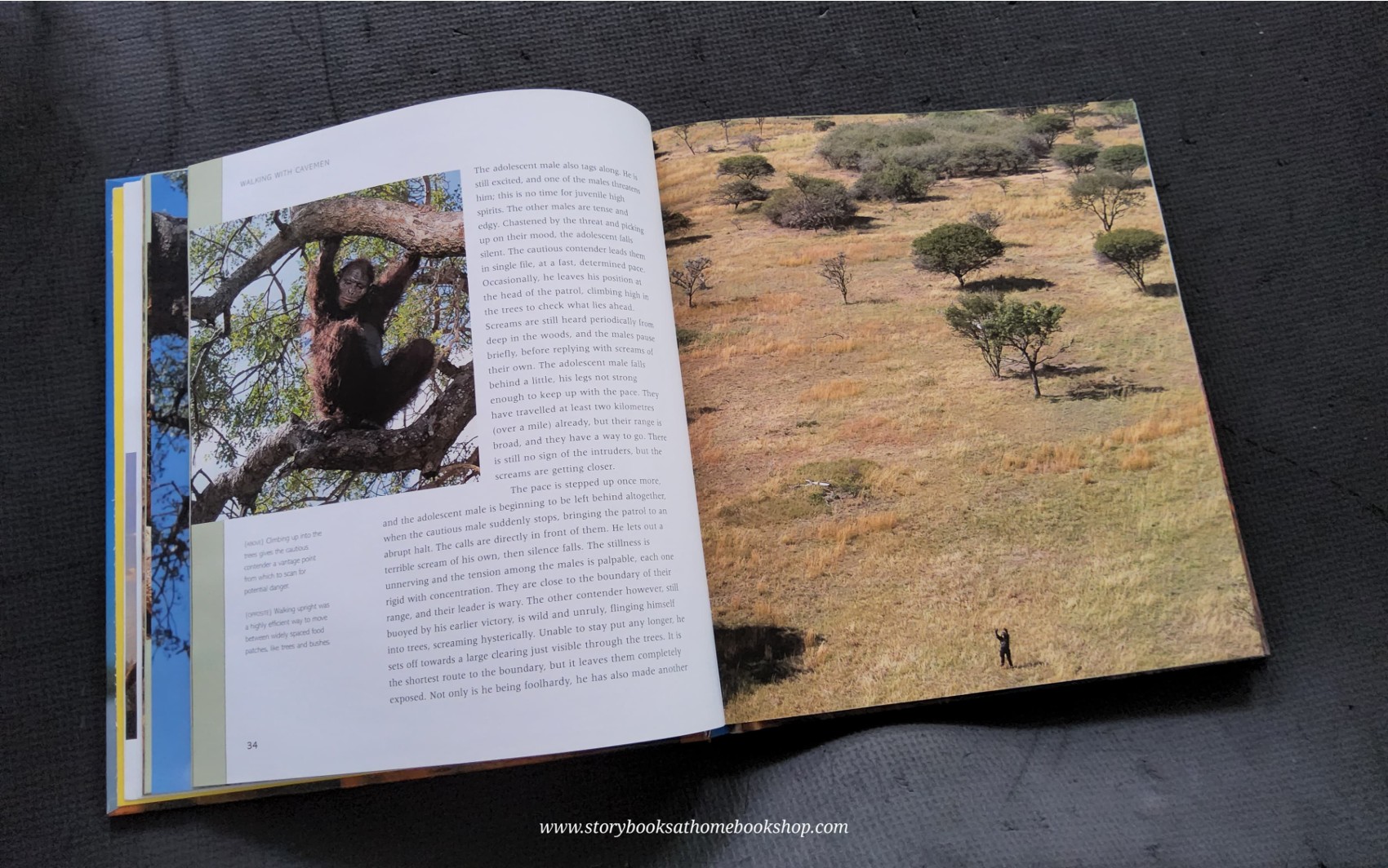 KNOWLEDGE BOOK ** 🍅🍓 WALKING WITH CAVEMEN EYE-TO-EYE WITH YOUR ANCESTORS