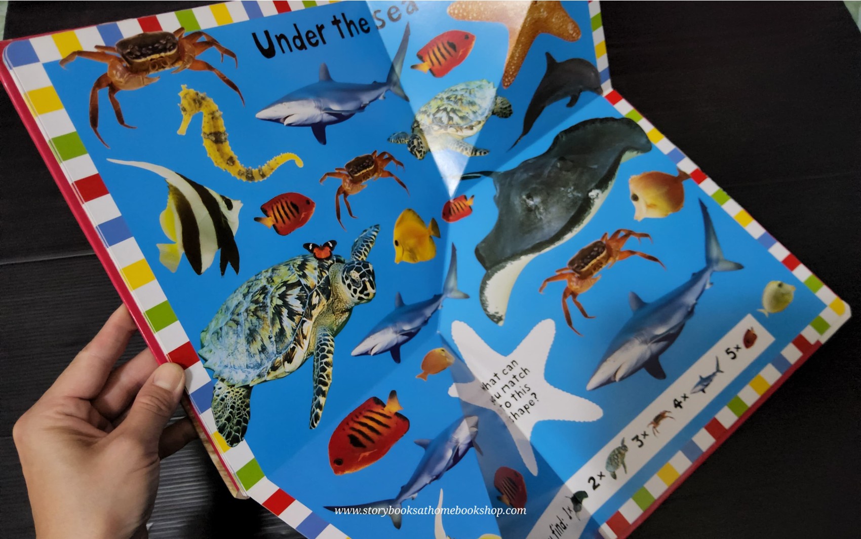 FOLD OUT BOOK ** 🍅🍓A FOLD OUT BOOK AT THE ZOO