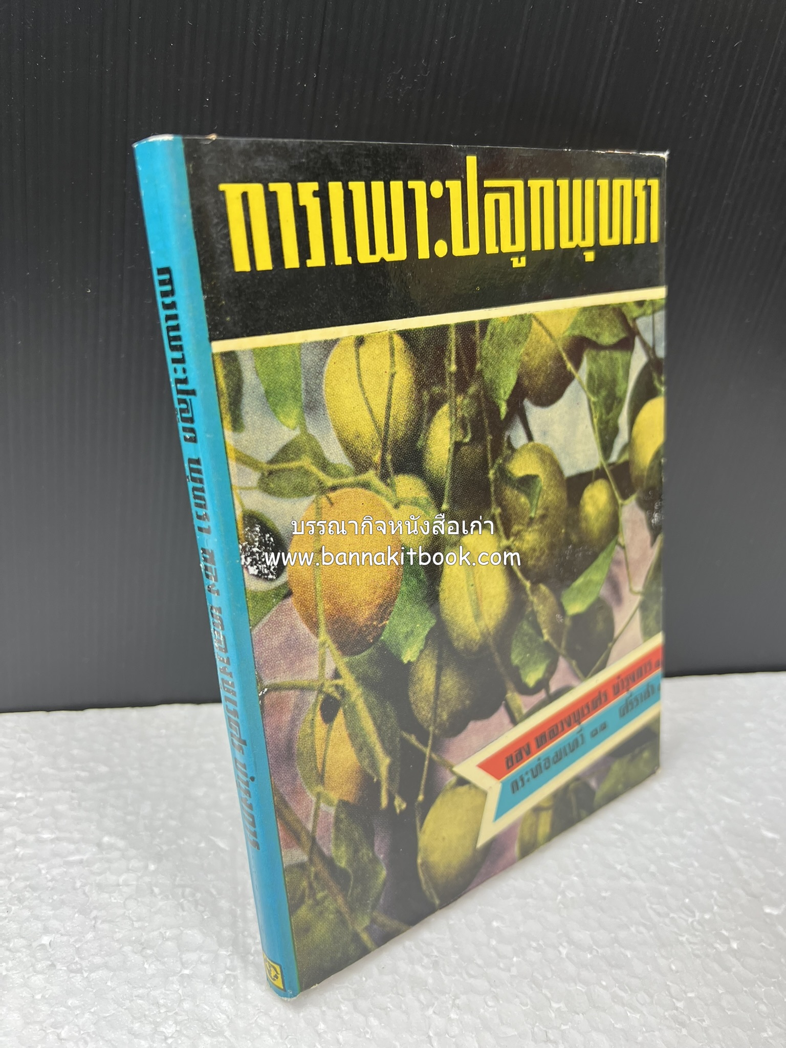 การเพาะปลูกพุทรา ตำราชุดเกษตรกรรม ของ หลวงบุเรศบำรุงการ.