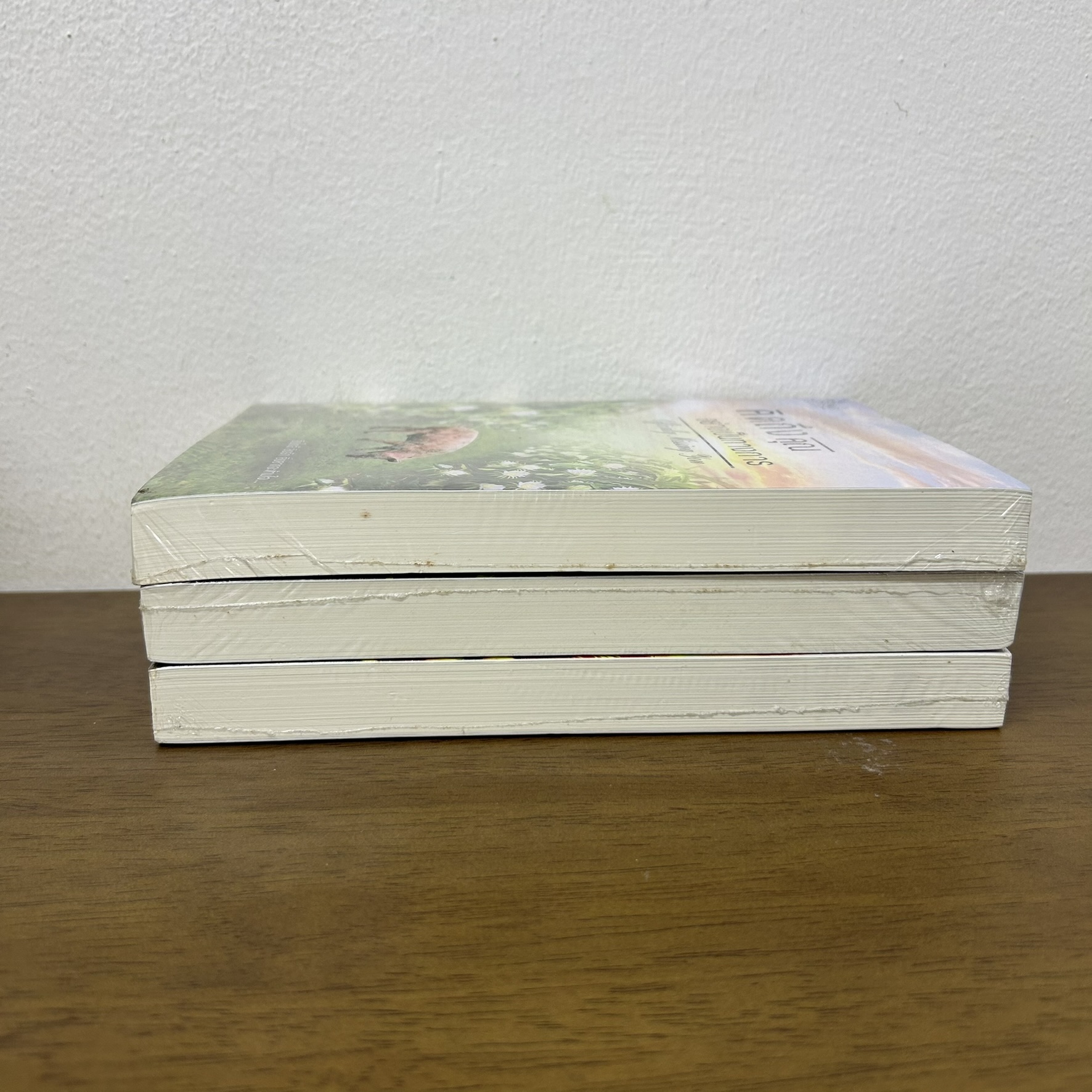 มัดใจคุณอย่างเป็นทางการ/รักคุณอย่างเป็นทางการ/คิดถึงคุณอย่างเป็นทางการ 3 เล่ม ... วรศิษฏ์ (มือหนึ่งซีล) นิยาย