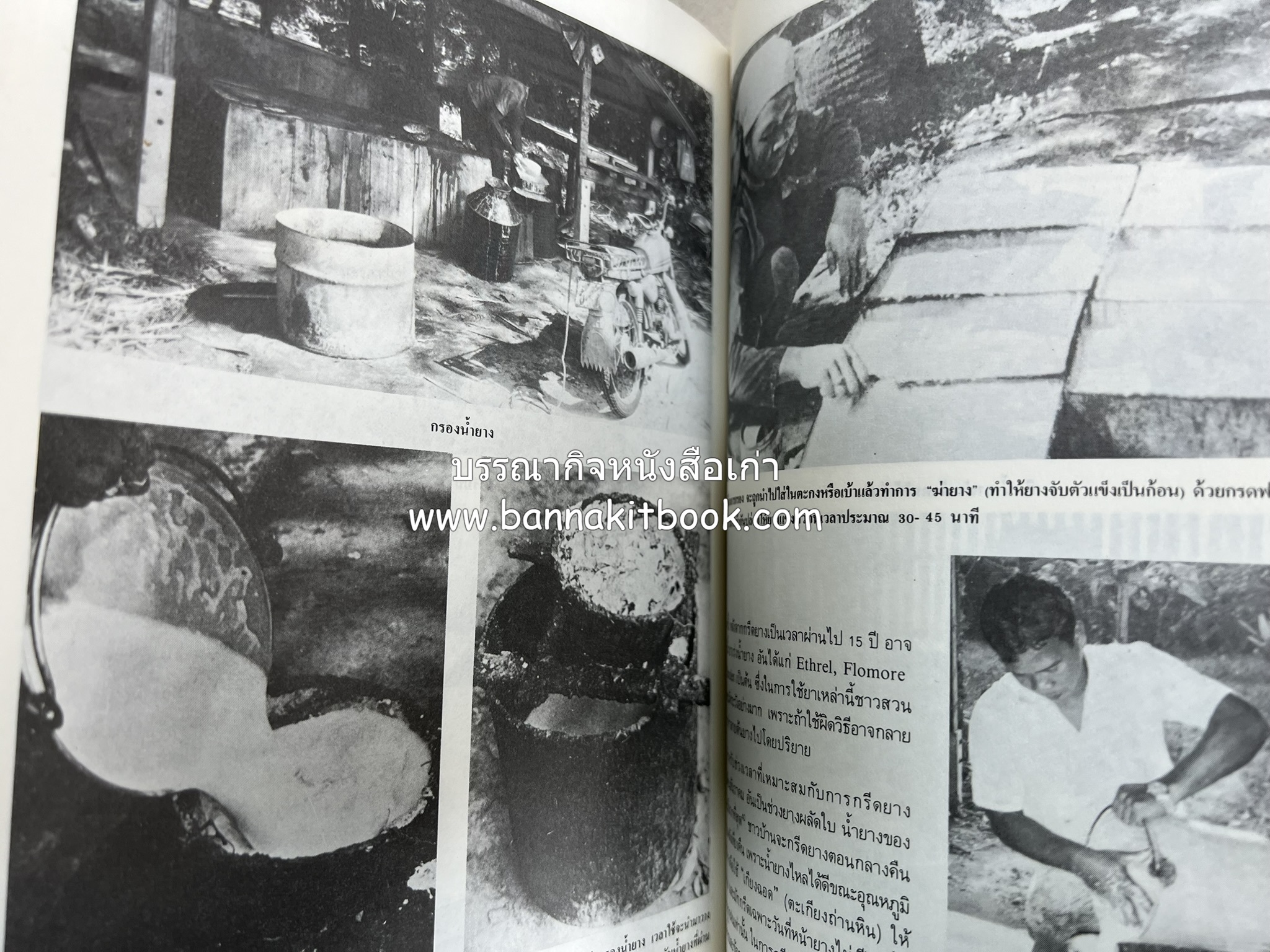 ถลาง ภูเก็ต และชายฝั่งทะเลอันดามัน : โบราณคดี ประวัติศาสตร์ ชาติพันธุ์และเศรษฐกิจ.