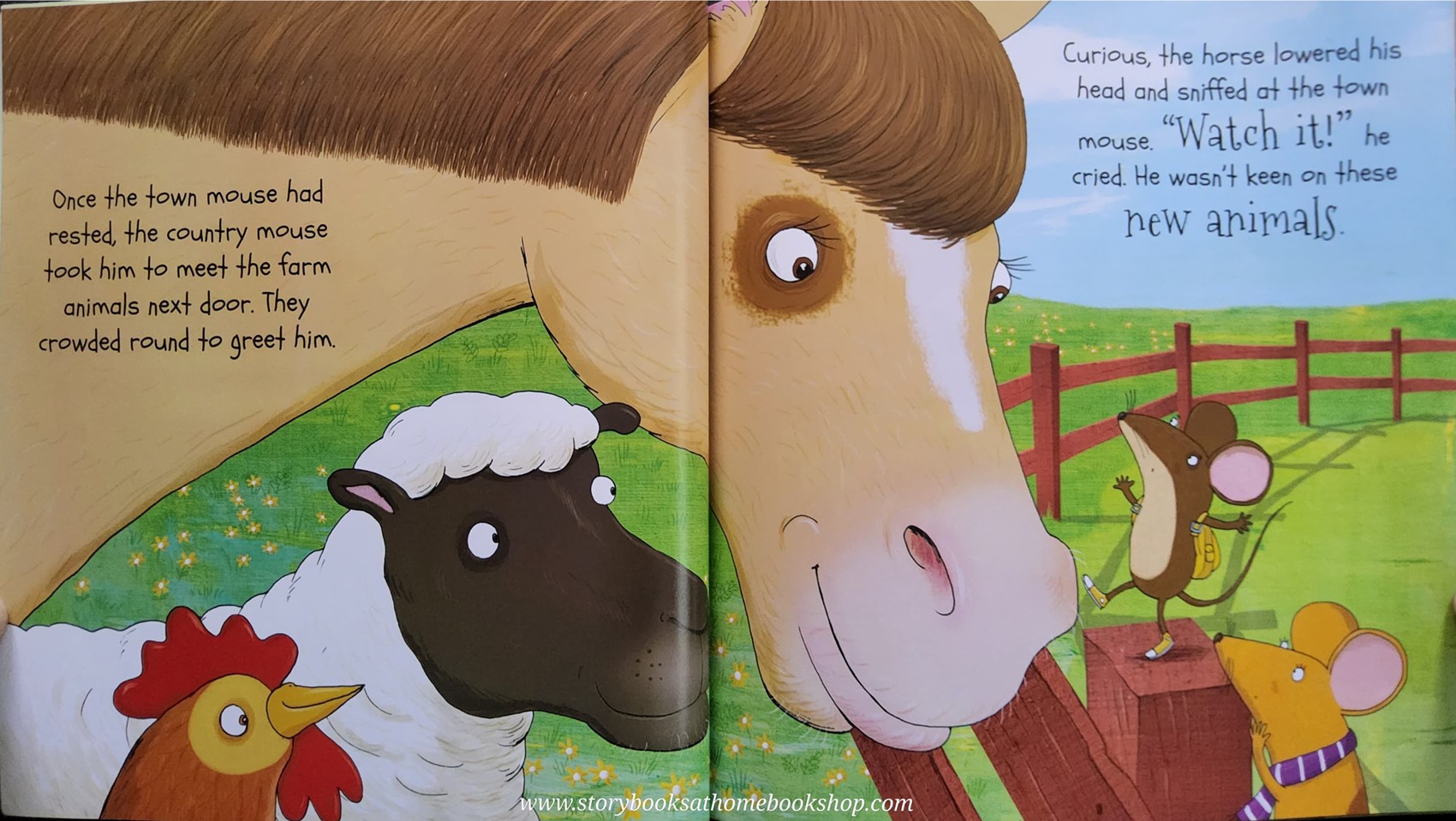 หนังสือนิทานปกอ่อน** 🍅🍓Aesop's Fables The Town Mouse and the Country Mouse