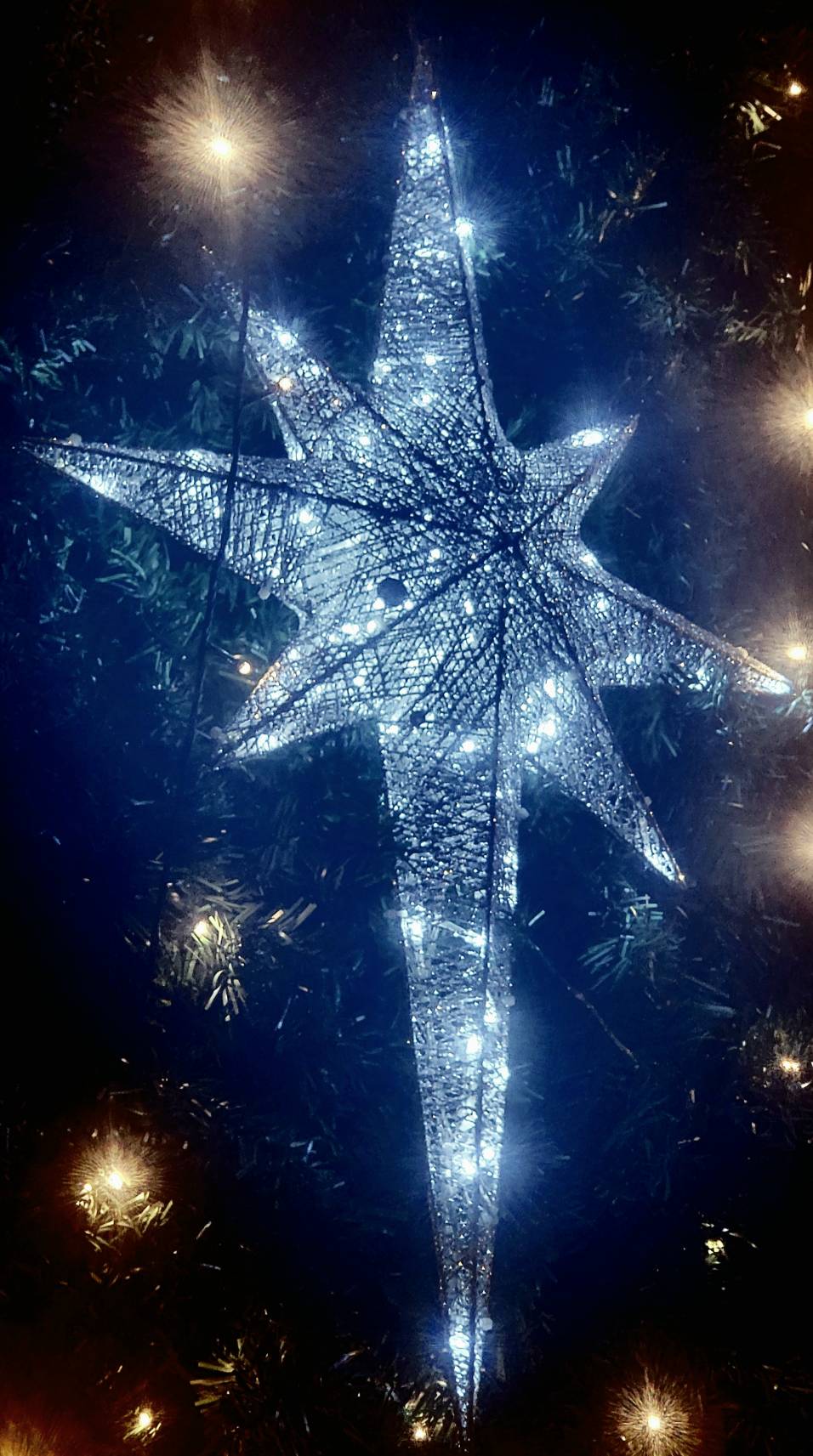 ดาวคริสต์มาส"ดาวยอดมีไฟ"ใช้ต้นเท่าไหร่เลือกขนาดที่เหมาะสมนะครับ