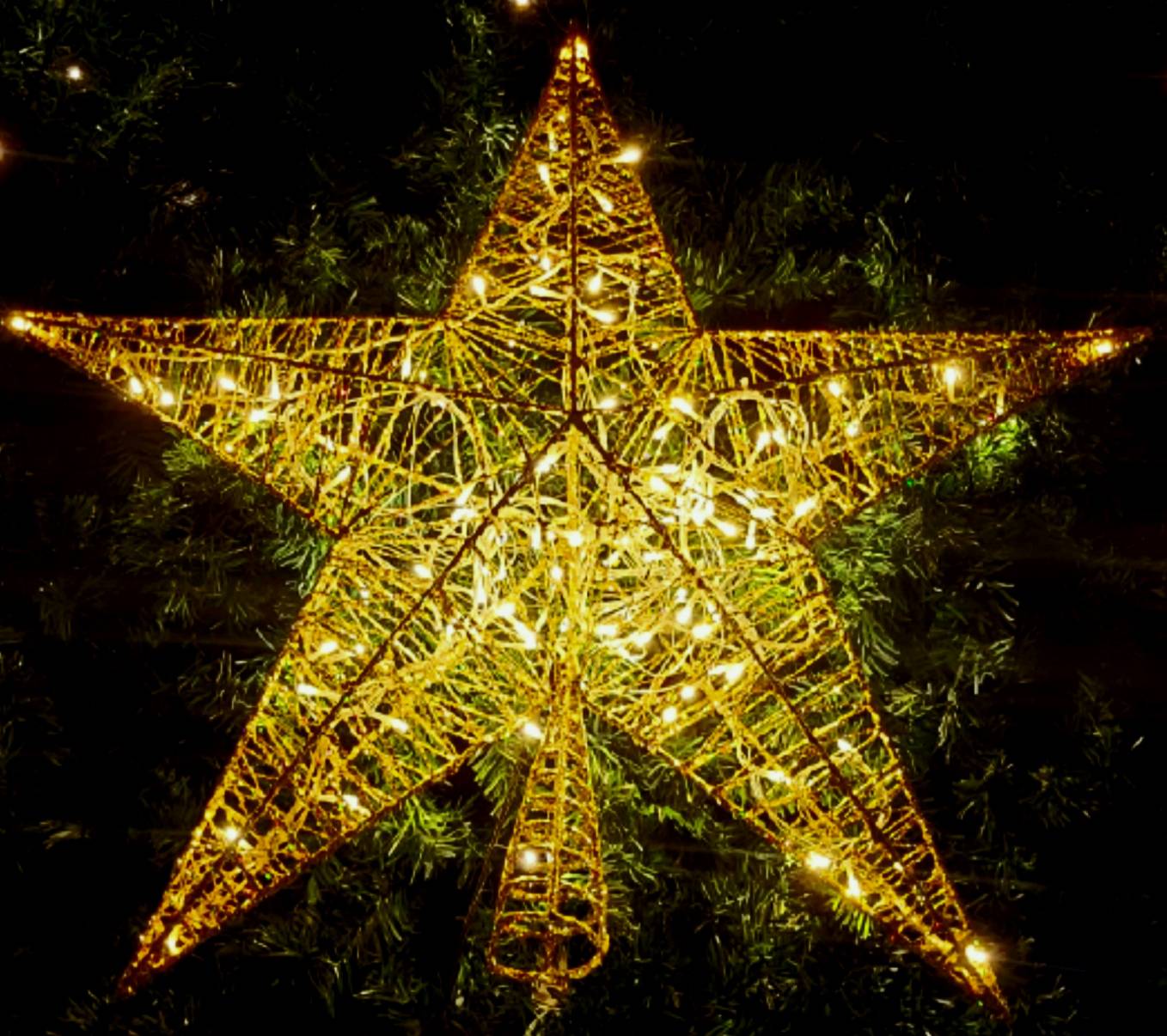 ดาวคริสต์มาส"ดาวยอดมีไฟ"ใช้ต้นเท่าไหร่เลือกขนาดที่เหมาะสมนะครับ