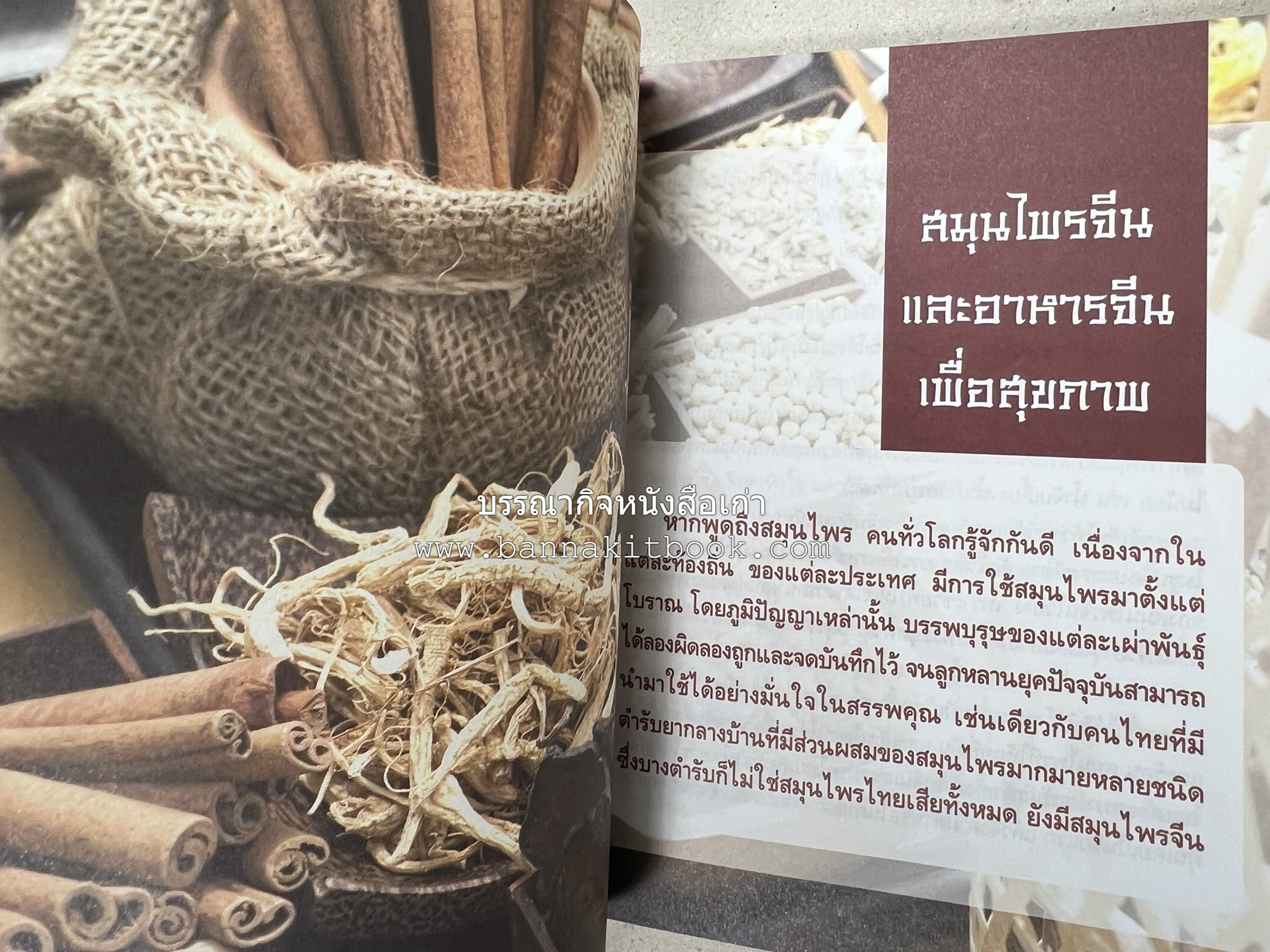 มหัศจรรย์สมุนไพรจีน โดย : บริษัทหลักทรัพย์จัดการกองทุน กสิกรไทย จำกัด.