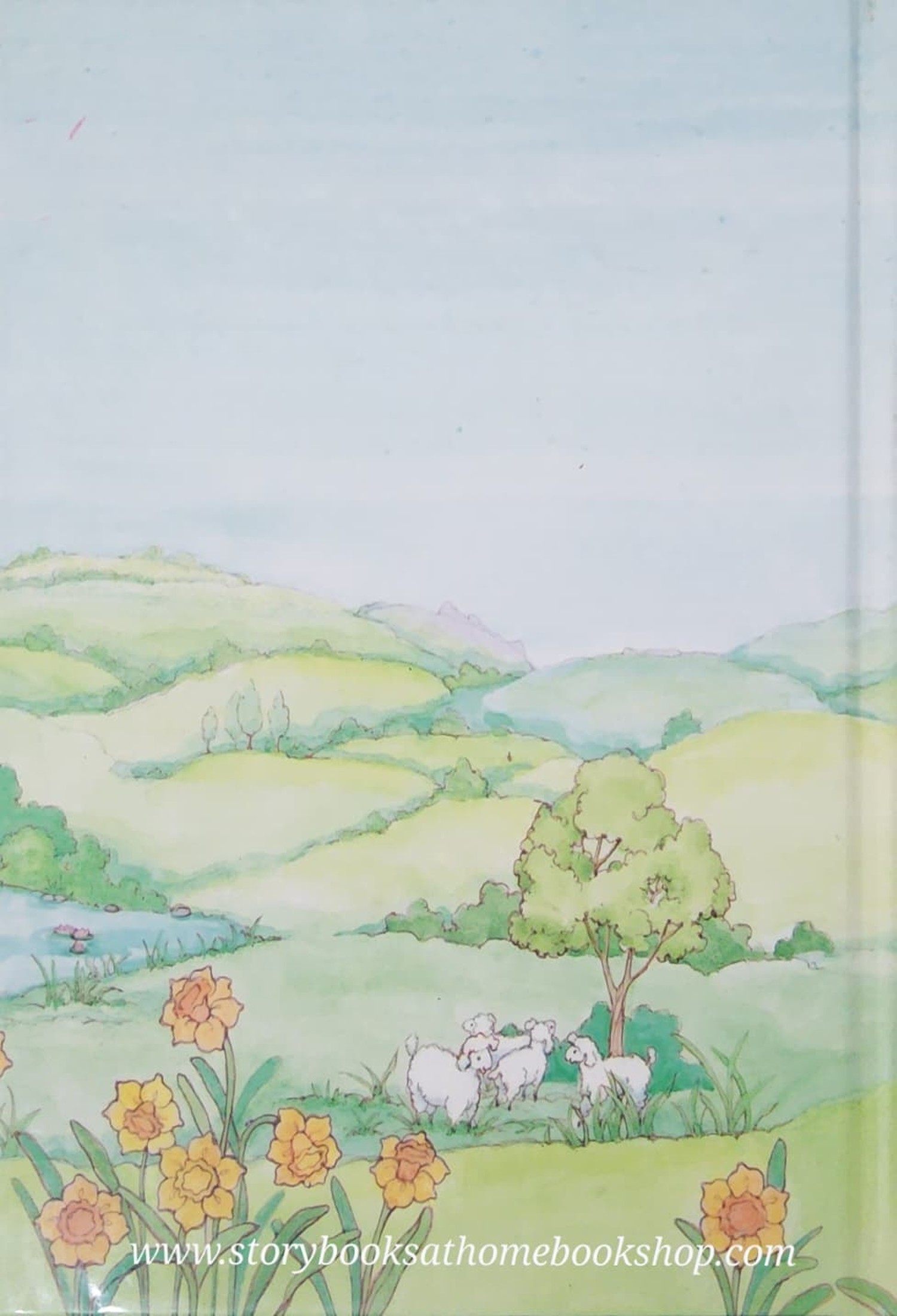 หนังสือนิทานปกแข็ง ** 🍅🍓AN ALICE IN BIBLELAND STORYBOOK:THE STORY OF CREATION