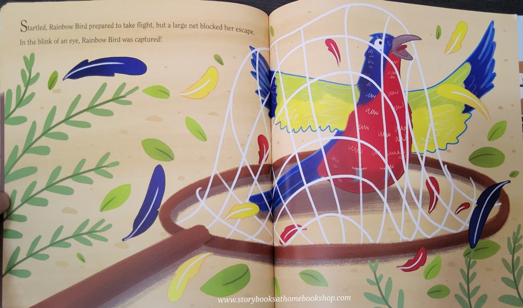 หนังสือนิทานปกอ่อน** 🍅🍅RAINBOW BIRD