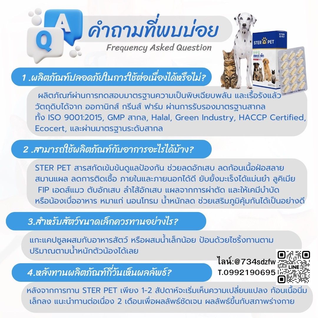เซตทดลอง สเตอร์ เพ็ท Ster Pet เนื้องอกหมาแมว ก้อนเนื้อหมาแมว มะเร็งสุนัขแมว ลดอักเสบ ลดขนาดก้อนเนื้อ เบื่ออาหาร น้ำหนักลด ไตวายหมาแมว แผลยุบเร็ว ( 15 แคปซูล)