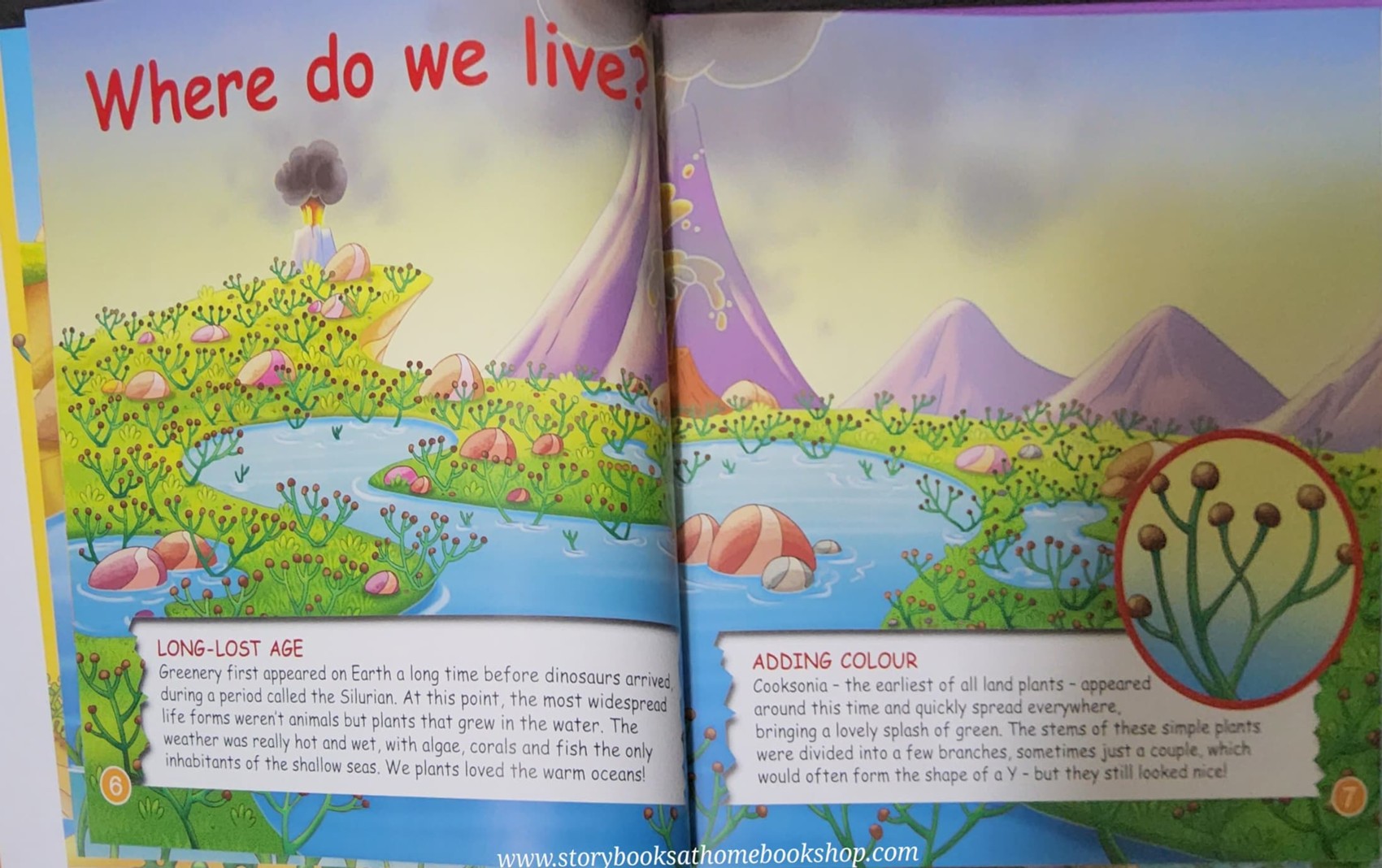 หนังสือนิทานปกแข็ง** 🍅🍓DINOSAURS&FRIENDS READ.LEARN.PLAY:PREHISTORIC PLANTS ALGAE,FERNS AND MOSSES #39