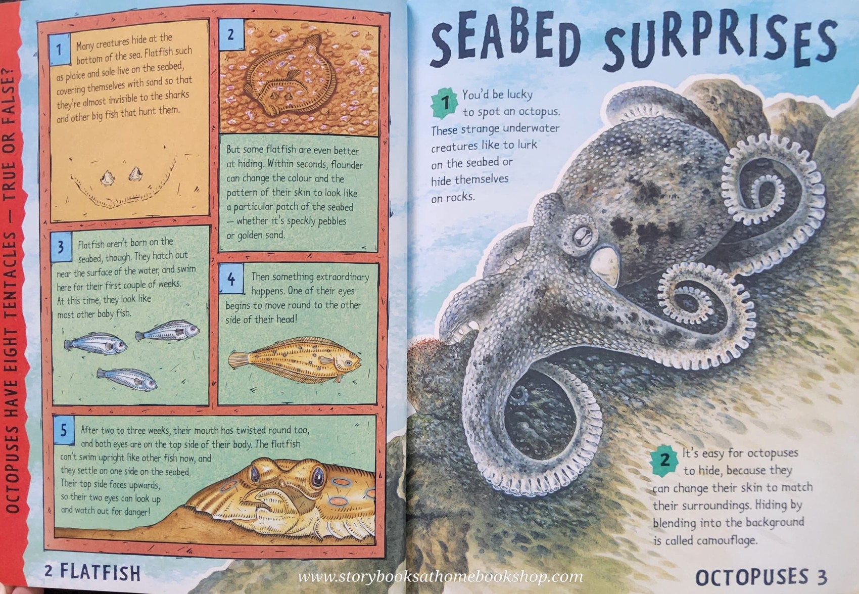 KNOWLEDGE BOOK** ♥️♥️DISGUISES AND SURPRISES