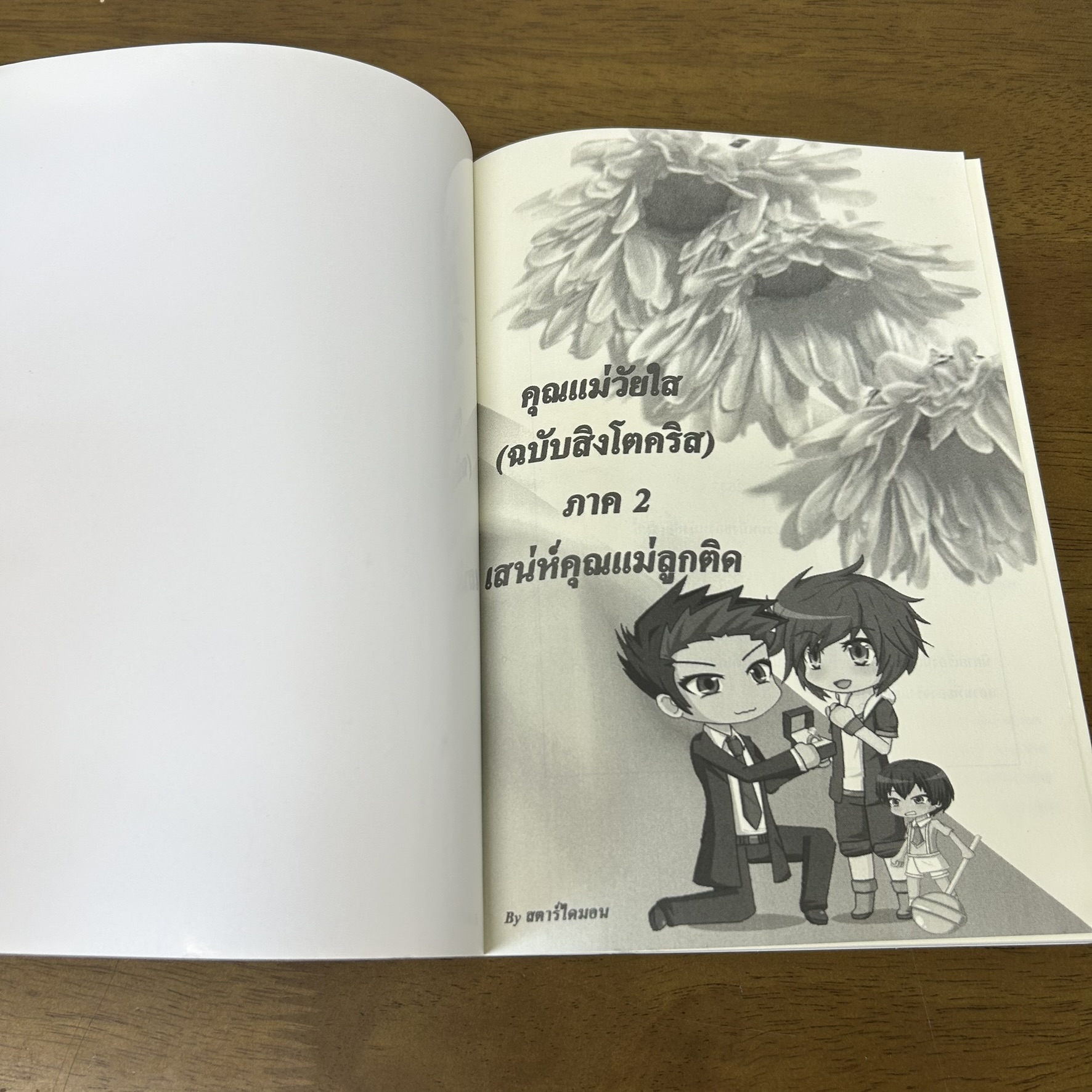 คุณแม่วัยใส ฉบับสิงโตคริส+ภาค 2 เสน่ห์คุณแม่ลูกติด ... Star_Diamond (มือสอง) นิยายวาย