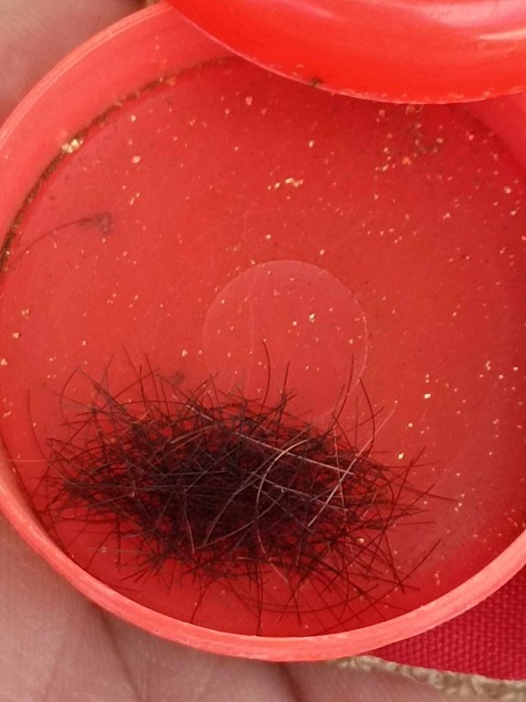 พระทันตธาตุ พระเกศา จีวร หลวงพ่อตี๋ วัดพรหมวิหาร อ.แม่สาย จ.เชียงราย เจ้าของเดิมชื่อลุงสงวน เคยเป็นคนขับรถหลวงพ่อตี๋ อยู่บ้านป่าเหมือด ต.แม่สาย อ.แม่สาย จ.เชียงราย เสียชีวิตเมื่อวันที่ 9 มีนาคม 2558 อายุ 78 ปี ได้มาจากพี่พร อายุ 47 ปี ลูกสาวลุงสงวน