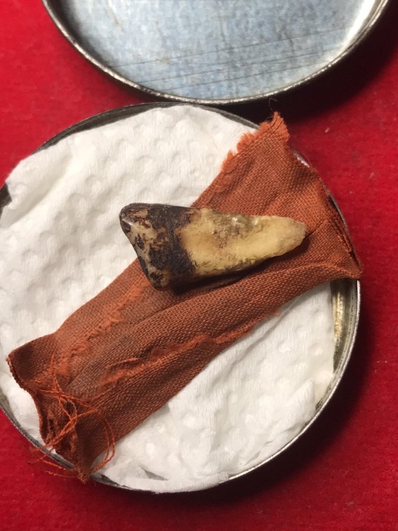 พระทันตธาตุครูบาสองเมือง วัดหล่ายแก้ว อ.บ้านโฮ่ง จ.ลำพูน พระอนันต์ เป็นศิษย์ครูบาสองเมือง ท่านสิ้นชีวิตแล้วเมื่อปี 2539 หากมีชีวิตอยู่ปัจจุบันจะมีอายุ 88 ปี (บันทึก พ.ศ.2566) ได้มอบให้ สจ.บอย อายุ 48 ปี อยู่หมู่บ้านเรือน อ.ป่าซาง จ.ลำพูน