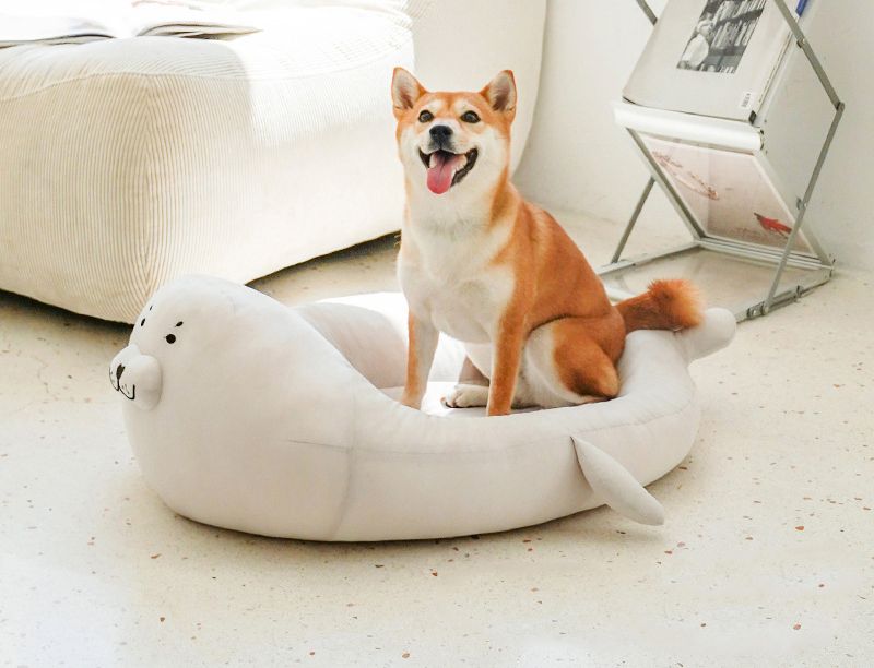 Seal pet bed ที่นอนสัตว์เลี้ยงลายแมวน้ำ ที่นอนแมว ที่นอนสุนัข