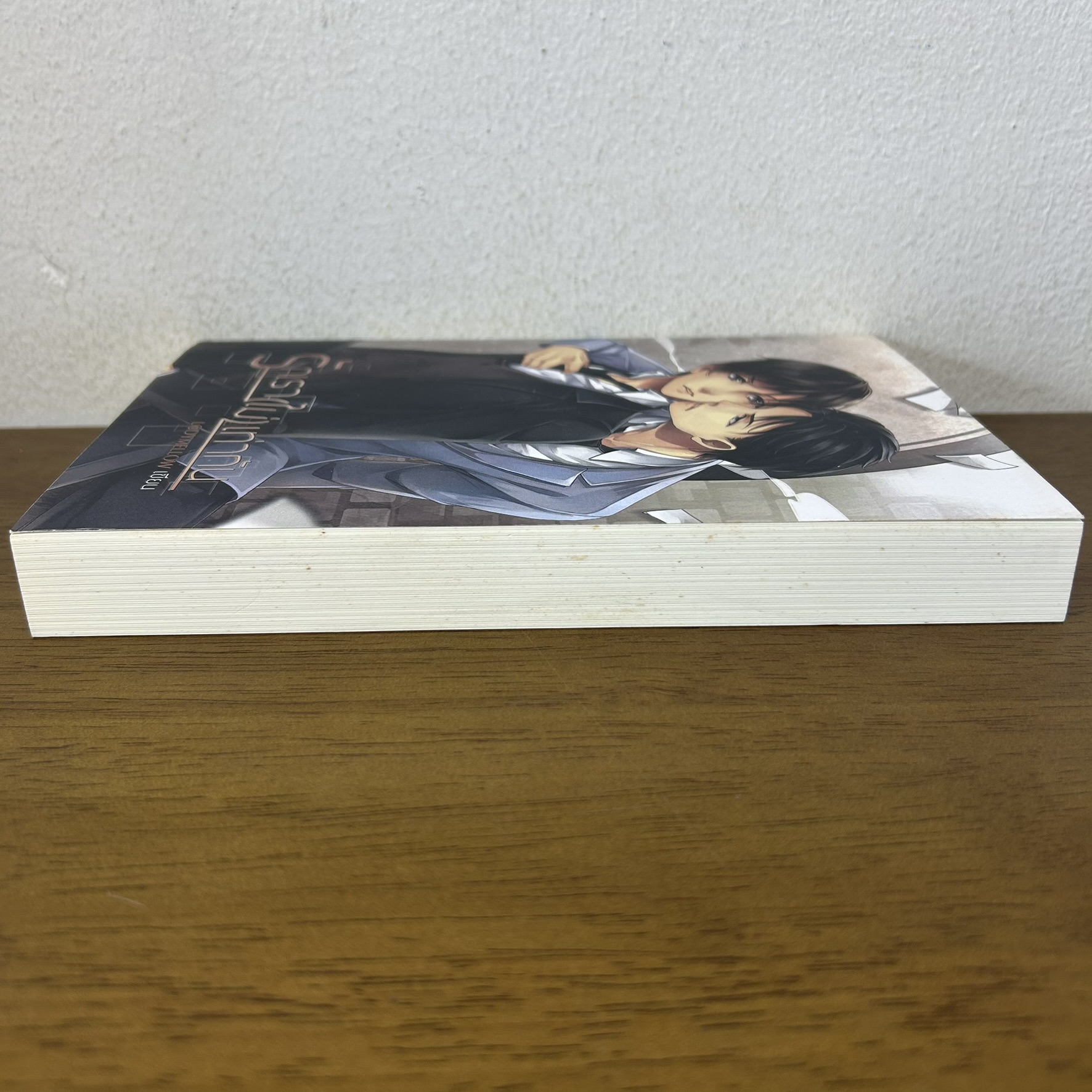 [YAOI] รักเราไม่เท่ากัน ... L@DYMELLOW (มือสอง) นิยายวาย Hermit