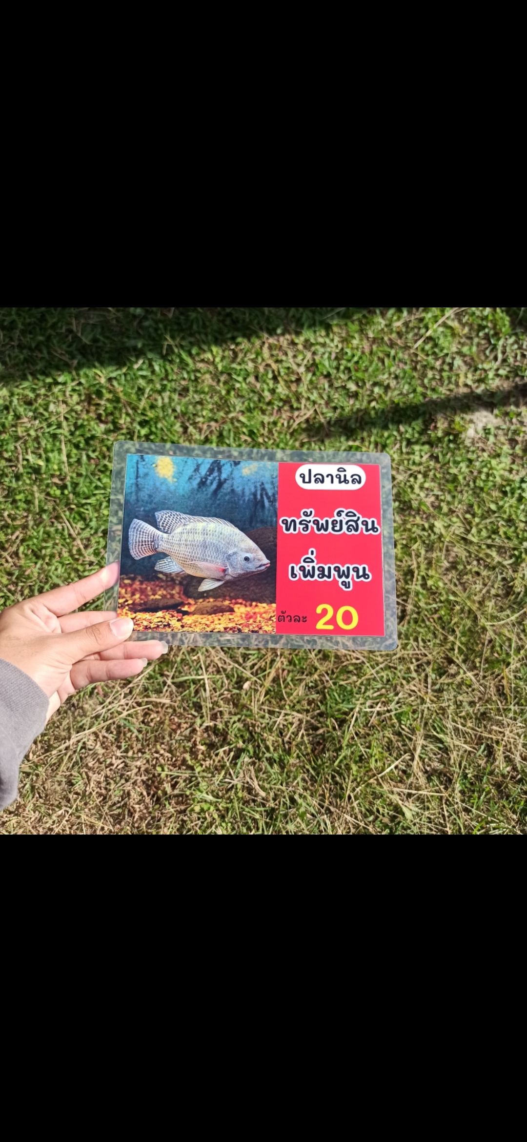 ชุดป้ายเมนู A5 ปลามงคล 12 แผ่น | ปลาไหล, ปลาหมอ, ปลาดุก, ปลานิล, ปลาช่อน, ปลาทับทิม | เสริมโชคลาภ เพิ่มความเฮงให้ร้านคุณทันที! | รหัส 4074
