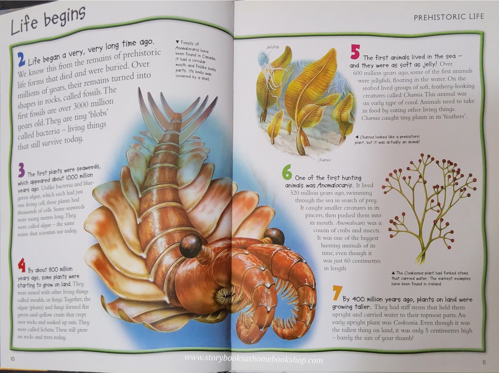 KNOWLEDGE BOOK** ♥️CHILDREN'S ENCYCLOPEDIA DINOSAURS AND PREHISTORIC LIFE