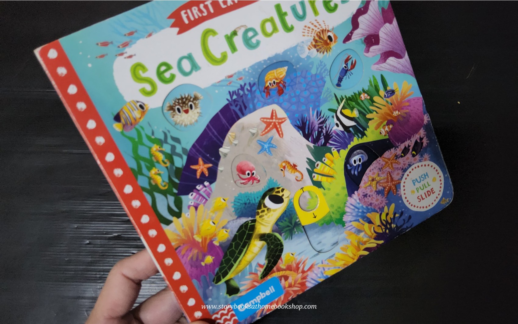 PUSH PULL SLIDE Board Book** 🍅🍓FIRST EXPLORERS SEA CREATURES