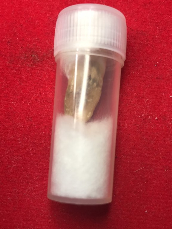 พระทันตธาตุ ครูบาติ๊บ วัดท่าวังพร้าว อ.สันป่าตอง จ.เชียงใหม่ ได้มาจากกำนันคำ อดีตกำนันบ้านปากกอง อ.สารภี จ.เชียงใหม่ ปัจจุบันอายุ 86 ปี (บันทึก พ.ศ.2566) กำนันคำได้พระทันตธาตุครูบาติ๊บ ได้มาเมื่อปี พ.ศ.2549 ได้มาจากลูกศิษย์ครูบาติ๊บ ชื่อลุงวิโรจน์