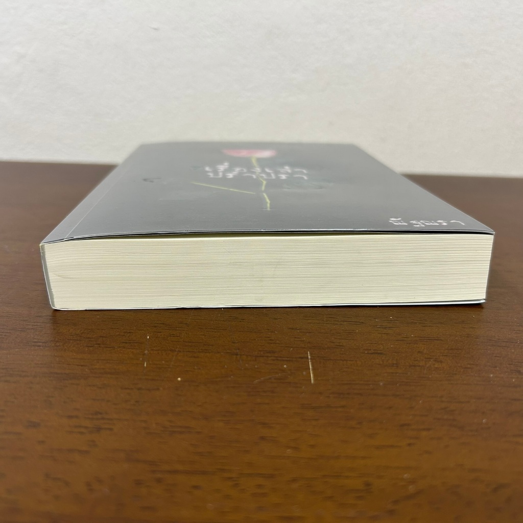 เรื่องเล่าปรำปรา ... ณัฐณรา (มือสอง) นิยาย โรมานซ์