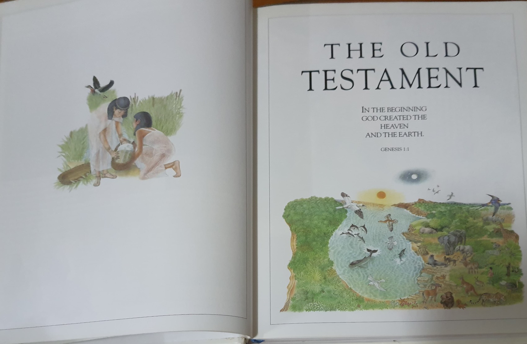 KNOWLEDGE BOOK** ♥️THE CHILDREN'S ILLUSTRAED BIBLE