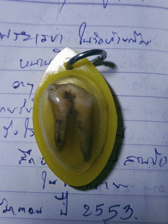 พระทันตธาตุครูบาพรรณ วัดพระพุทธบาทห้วยต้ม ได้มาจากชาวกะเหรี่ยงชื่อ โจ้ อายุ 48 ปี เคยรับใช้ครูบาวงศ์ และครูบาพรรณ เป็นเลขาทางวัดห้วยต้มด้วย ท่านได้มาจากครูบาพรรณเมื่อตอนปี 2553 ครูบาพรรณมีสิริอายุ 83 ปี เมื่อครั้งที่ครูบาพรรณไปถอนฟันที่โรงพยาบาลลี้