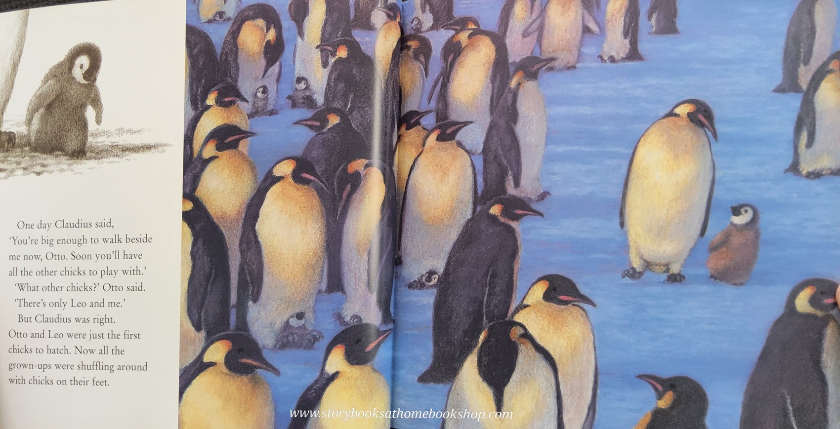 หนังสือนิทานปกอ่อน** 🍅🍓THE PENFUIN WHO WANTED TO GO FIND OUT