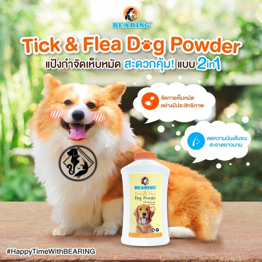 BEARING Tick & Flea Dog Powder แป้งกำจัดเห็บหมัด สำหรับสัตว์เลี้ยง แป้งโรยตัวสุนัข ลดความมันผิวหนัง เส้นขน