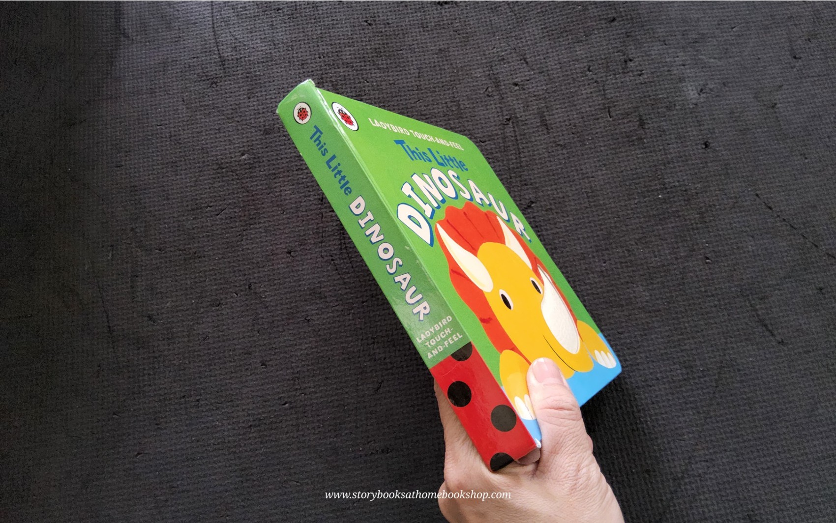 TOUCH AND FEEL BOARD BOOK** 🍅🍓THIS LITTLE DINOSAUR