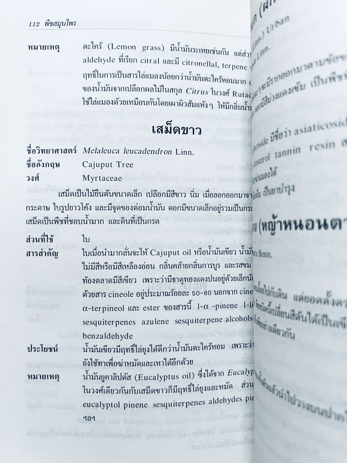 พืชสมุนไพร (ยาสมุนไพรไทย) โดย นิจศิริ เรืองรังษี, พยอม ตันติวัฒน์ คณะเภสัชศาสตร์ จุฬาลงกรณ์มหาวิทยาลัย.