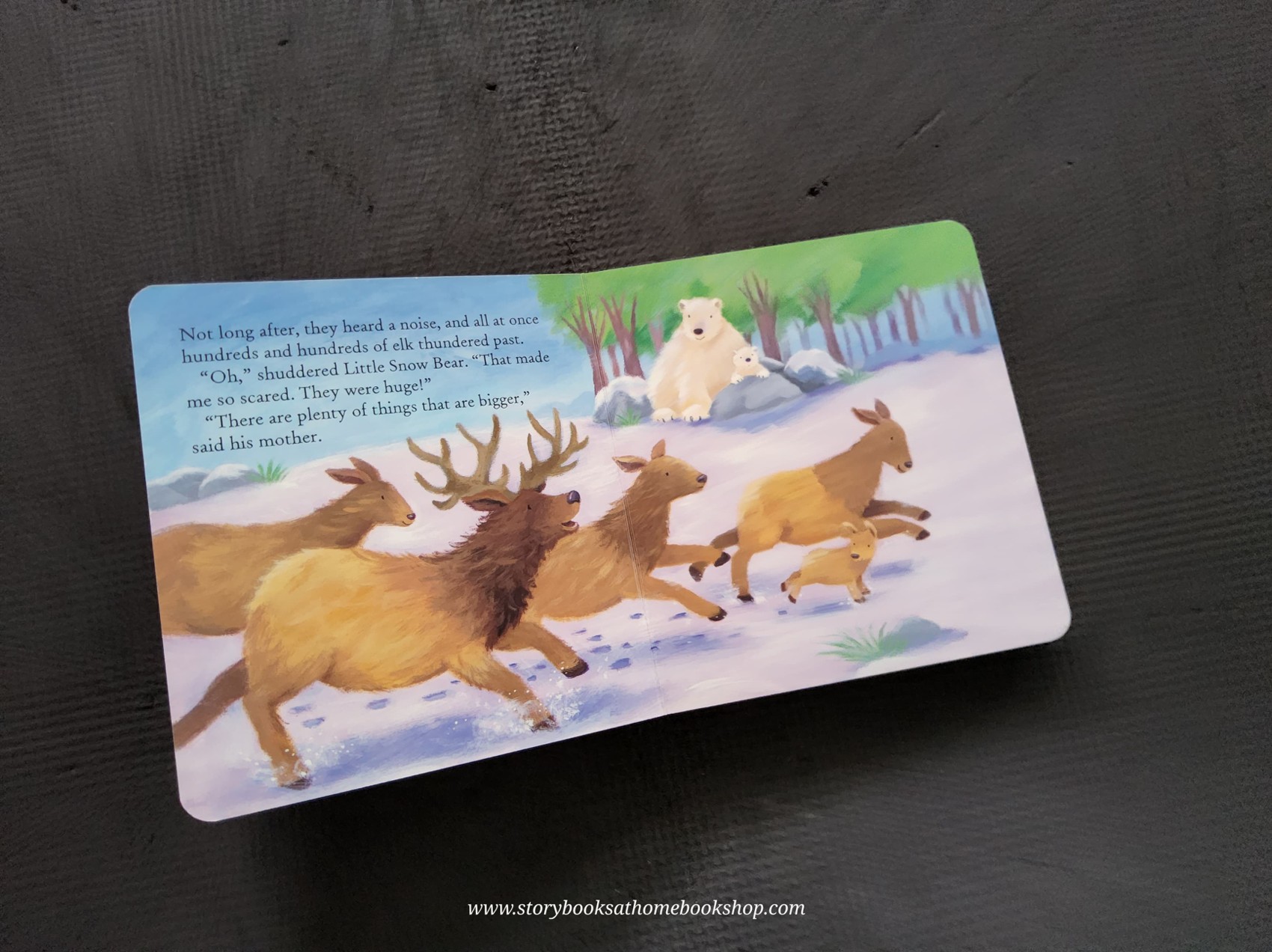 BOARD BOOK** 🍅🍓THE BIGGEST THING IN THE WORLD